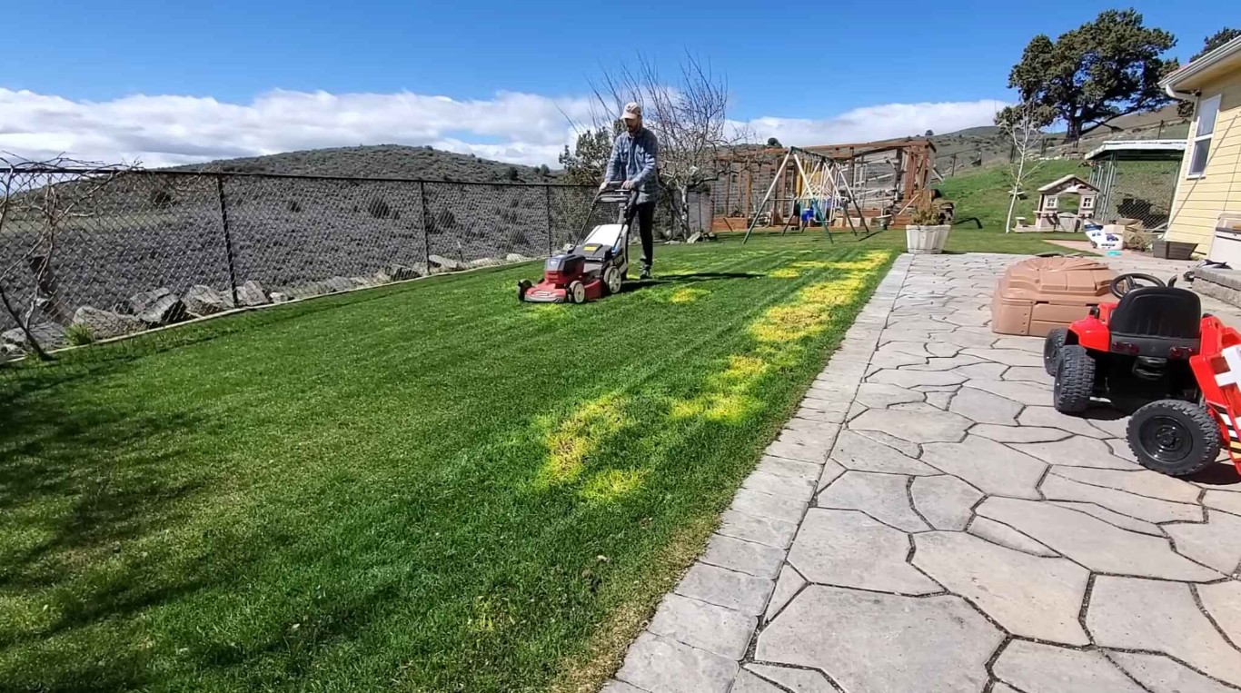 Lawn Care & Maintenance