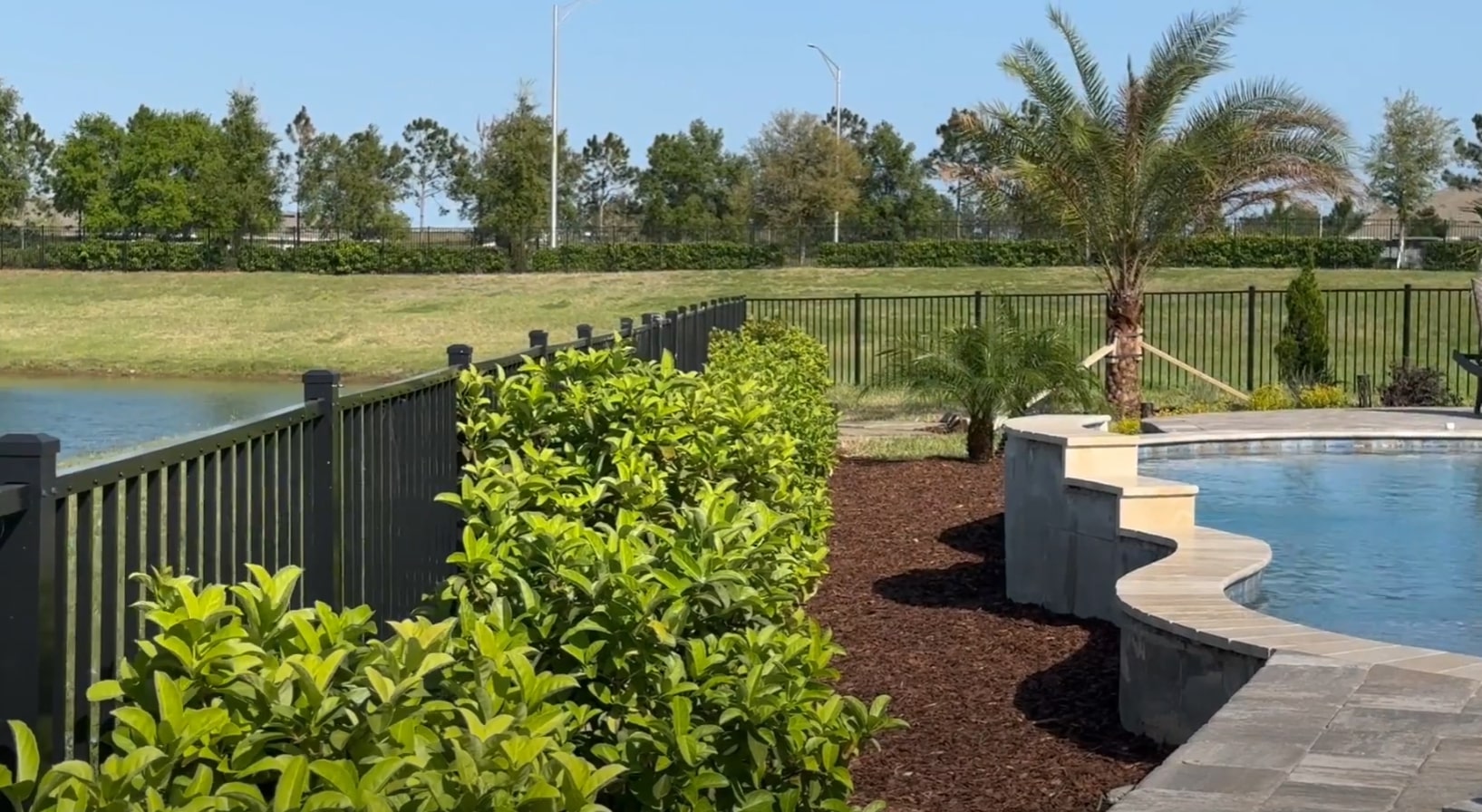 Backyard Pool Landscaping and Outdoor Living Design Backyard landscape with swimming pool, lush green plantings, palm tree, decorative fence, and well-maintained lawn creating a resort-like outdoor living space