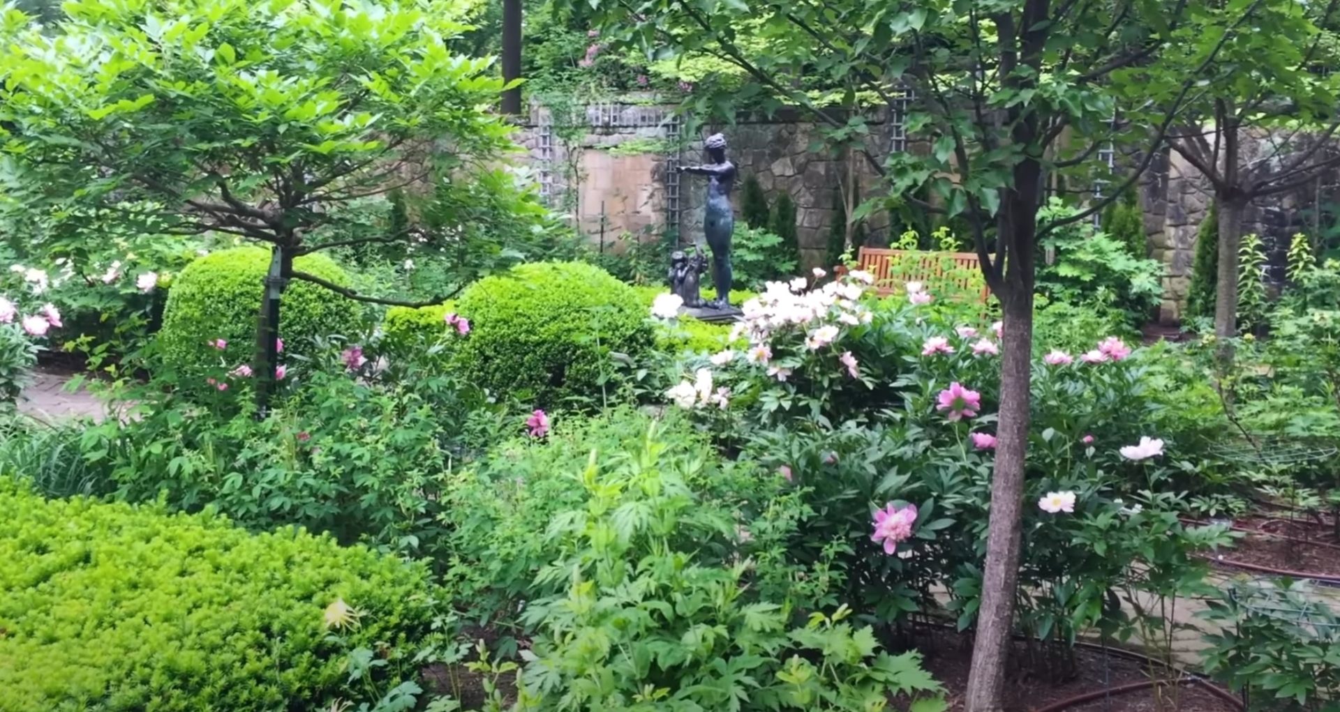 Professional Garden Design and Landscape Installation Beautiful garden landscape with lush green foliage, pink and white flowering plants, decorative stone wall, and mature trees creating a serene outdoor space