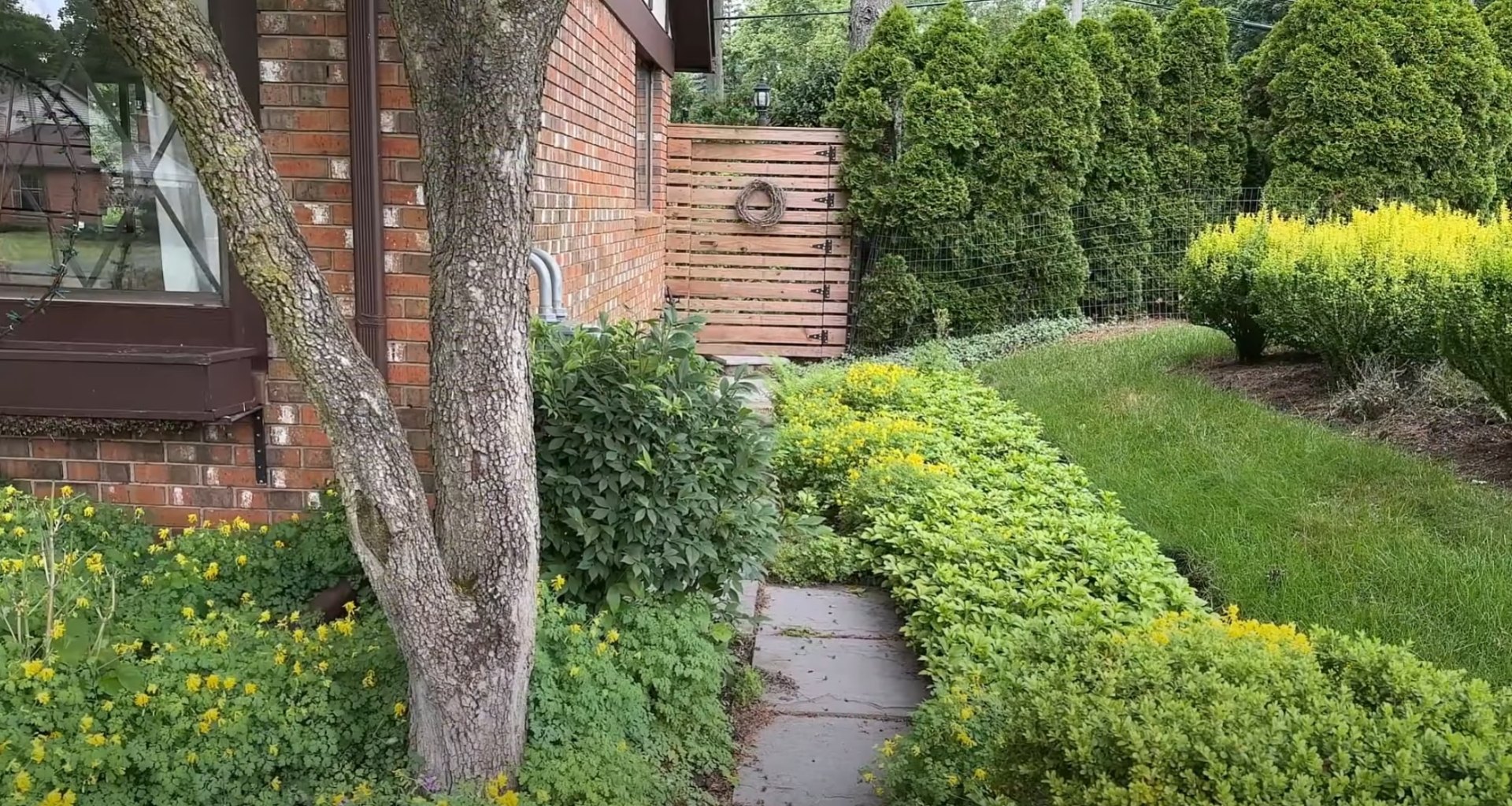 Landscaping Results and Maintenance Services Residential backyard with mature trees, well-maintained lawn, and established landscape plantings